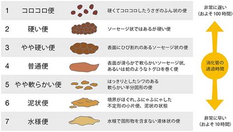 生ニンニク 下痢|お腹が弱い方必見！【にんにく】腹痛＆下痢の原因。